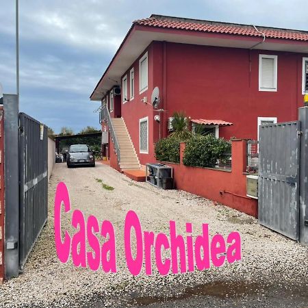 Casa Orchidea Daire Fiumicino Dış mekan fotoğraf