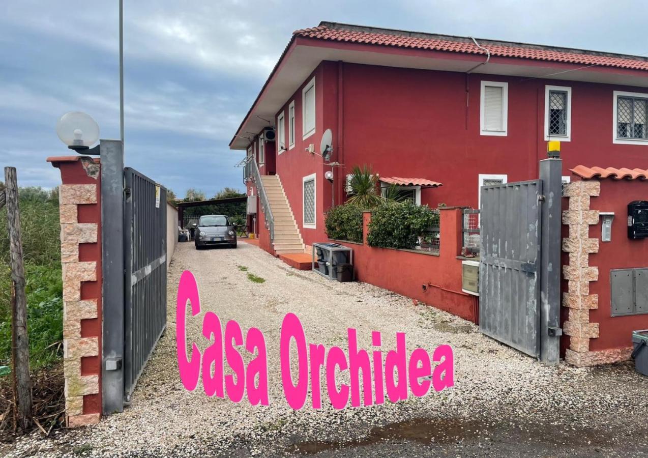 Casa Orchidea Daire Fiumicino Dış mekan fotoğraf