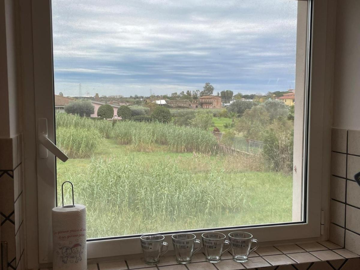 Casa Orchidea Daire Fiumicino Dış mekan fotoğraf